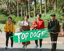 乌鸦传媒《TOP DOG》免费在线观看