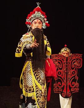 乌鸦视频《袁崇焕2009》免费在线观看